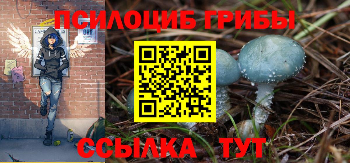 Шахты  Галлюциногенные грибы MAGIC MUSHROOMS  Галлюциногенные грибы Psilocybine cubensis  Вход с VPN 