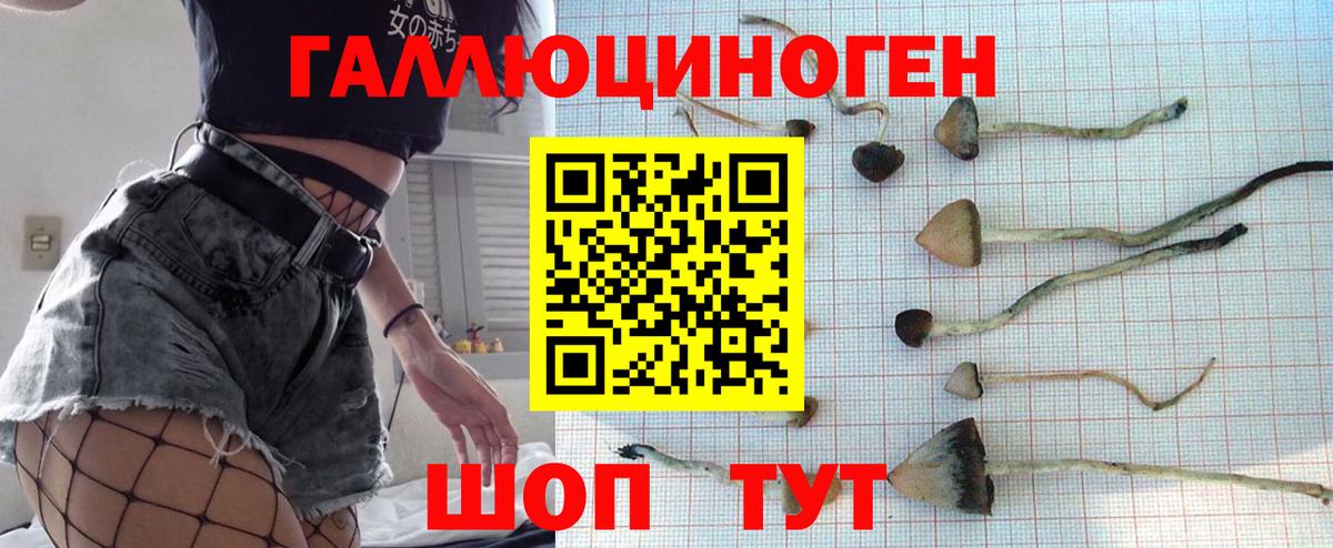 Псилоцибиновые грибы GOLDEN TEACHER Шахты
